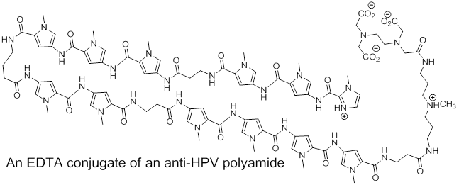 dna diagram